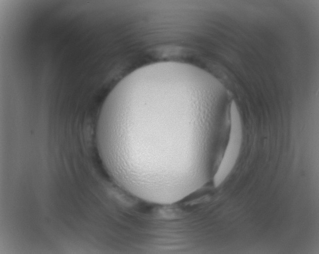 X0000081290372200702082025