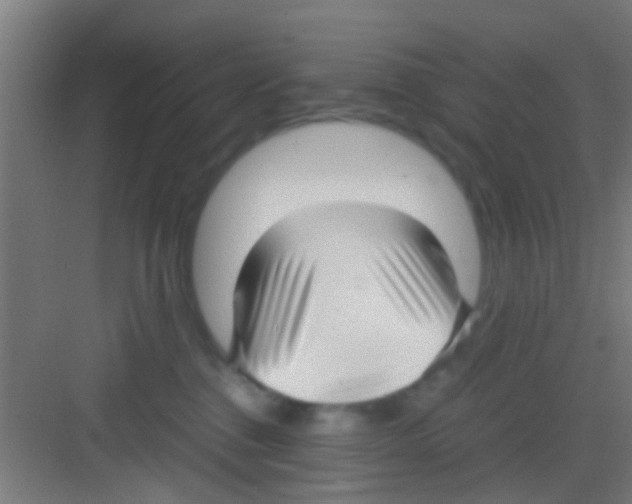 X0000081290376200702082025