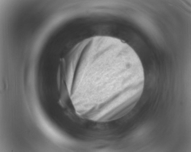 X0000081290383200702082025