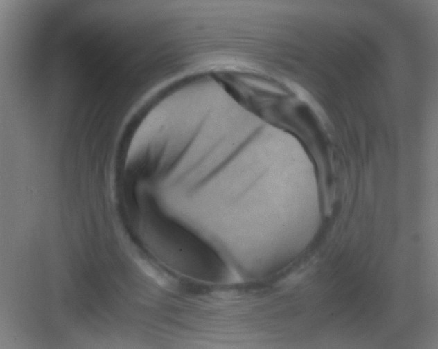 X0000081290391200702082024