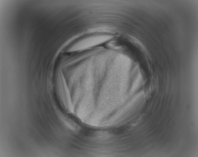 X0000081290392200702082024