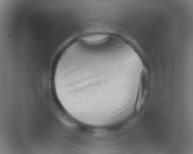 X0000081290395200702082024