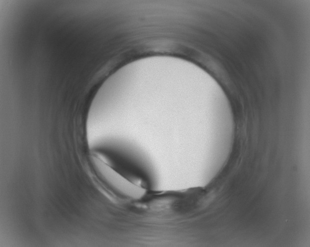 X0000081290397200702082024