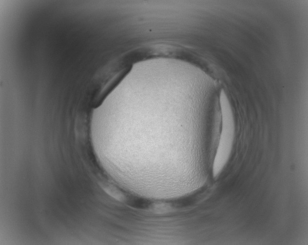 X0000081290413200702082024