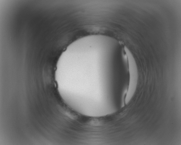 X0000081290416200702082024