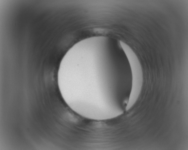 X0000081290424200702082023