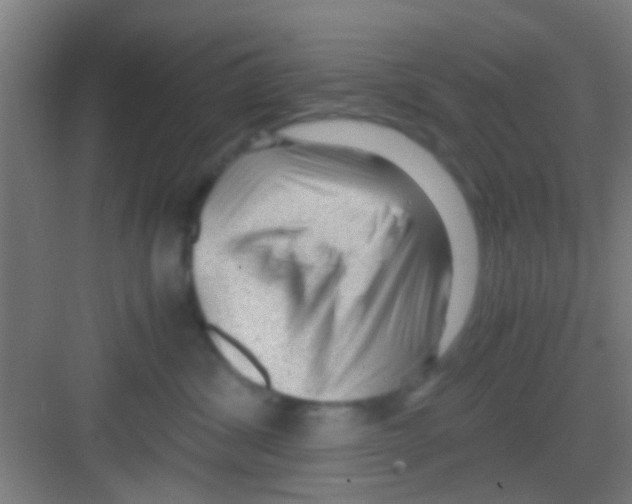 X0000081290428200702082023