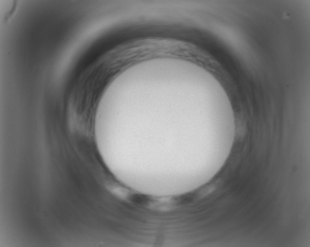 X0000081290431200702082023