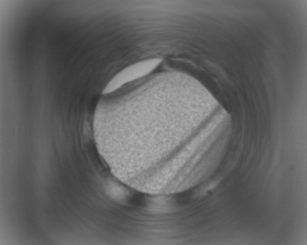 X0000081290432200702082023
