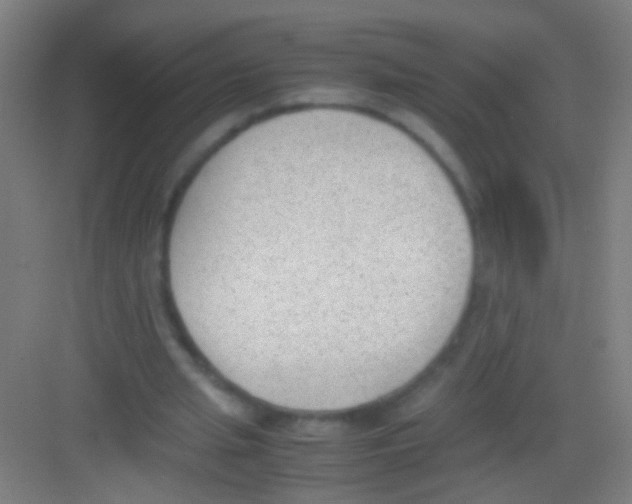 X0000081290437200702082023