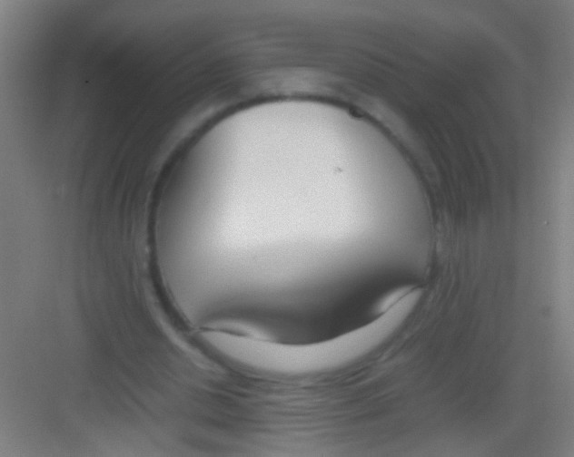 X0000081290438200702082023