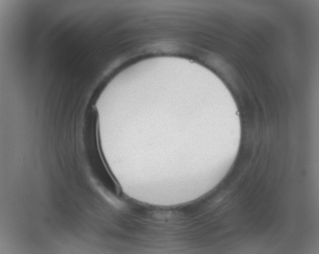 X0000081290439200702082023