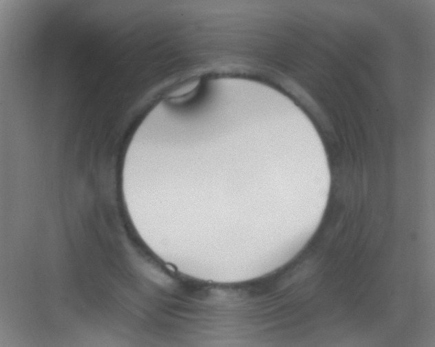 X0000081290442200702082023
