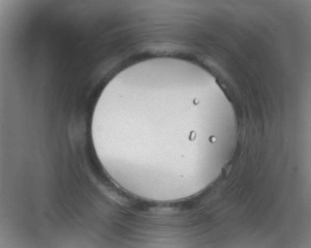 X0000081290448200702082023