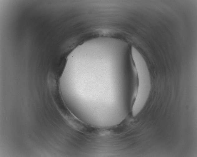 X0000081290456200702082023