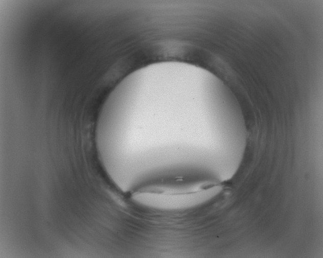 X0000081290462200702082023