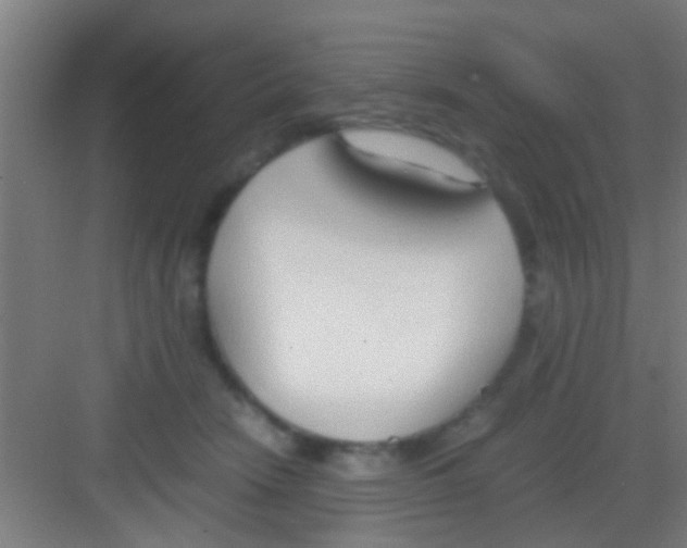 X0000081290466200702082023