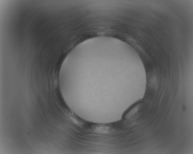 X0000081290471200702082023
