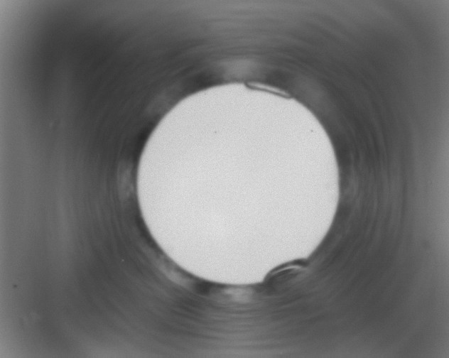 X0000081290478200702082023
