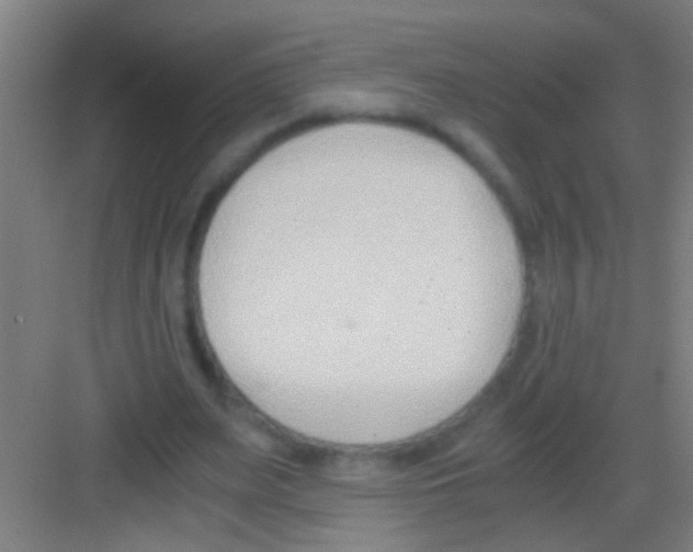 X0000081290487200702082022