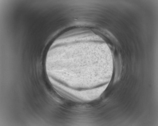 X0000081290488200702082022