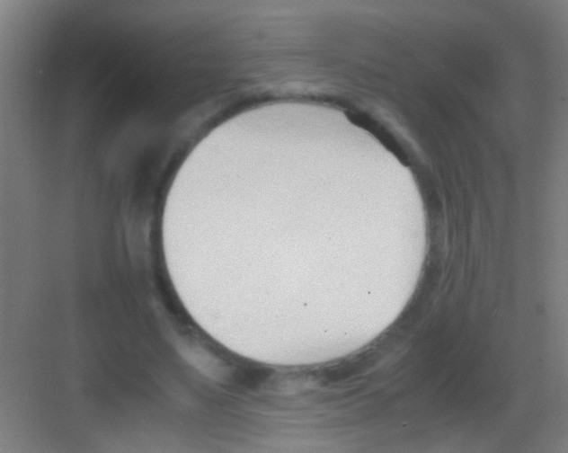 X0000081290491200702082022