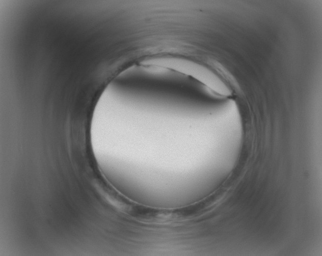 X0000081290493200702082022