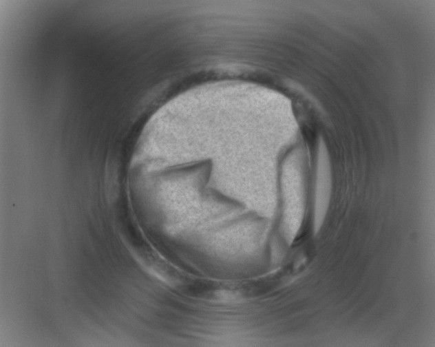 X0000081290496200702082022