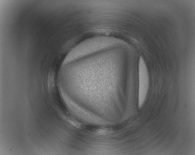 X0000081290504200702082022