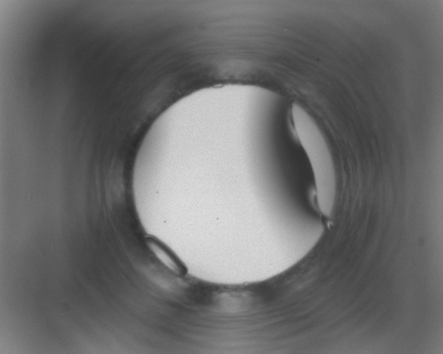 X0000081290508200702082022