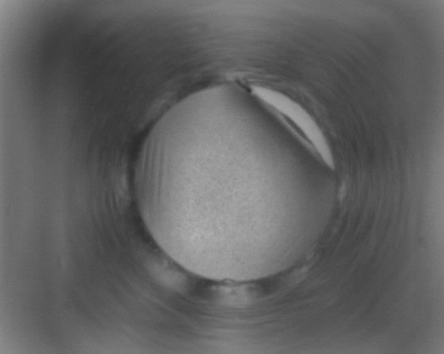 X0000081290524200702082022