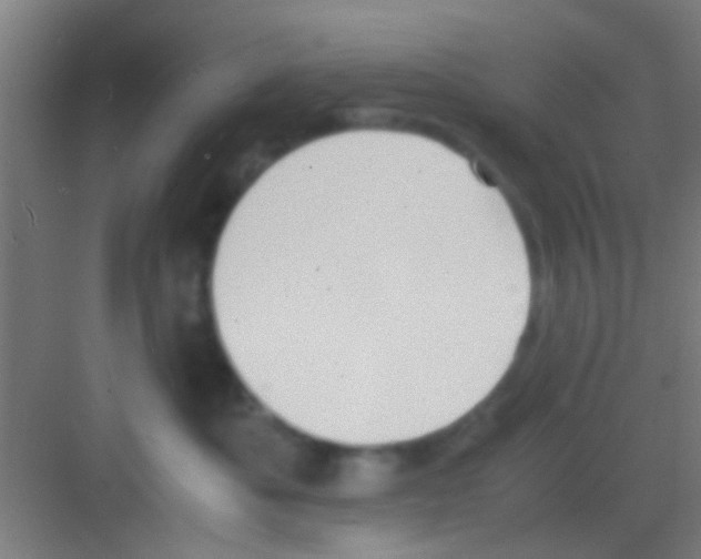 X0000081290525200702082022