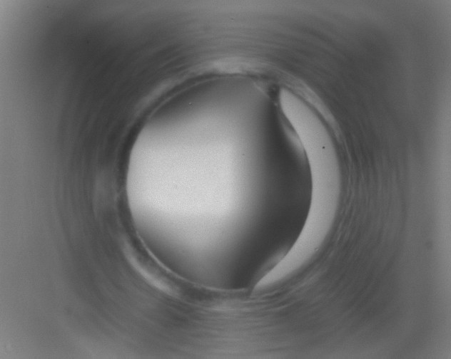 X0000081290530200702082021