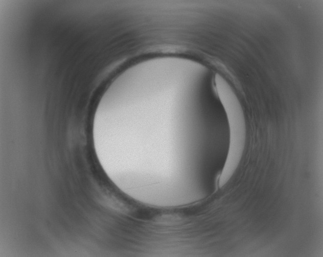 X0000081290536200702082021