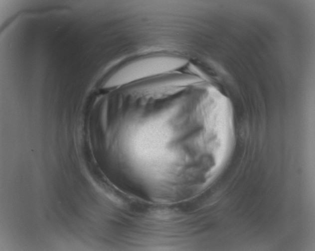 X0000081290540200702082021
