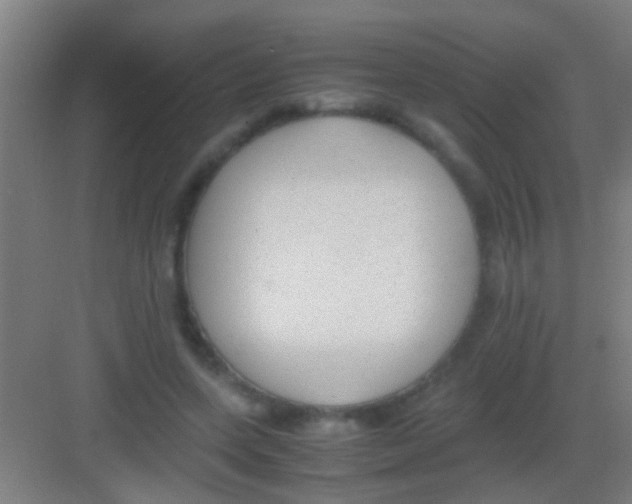 X0000081290543200702082021