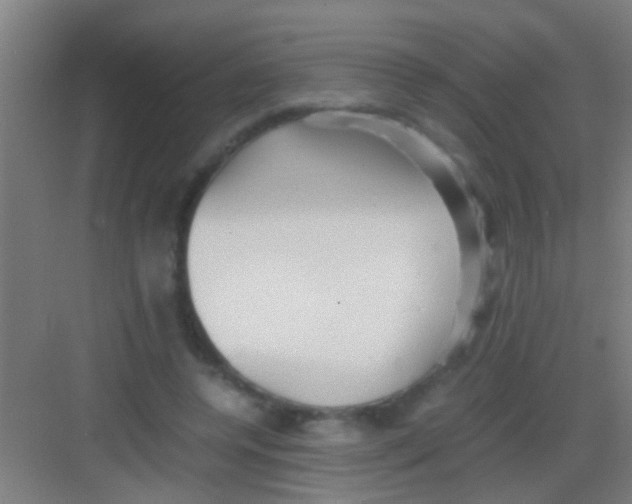 X0000081290544200702082021