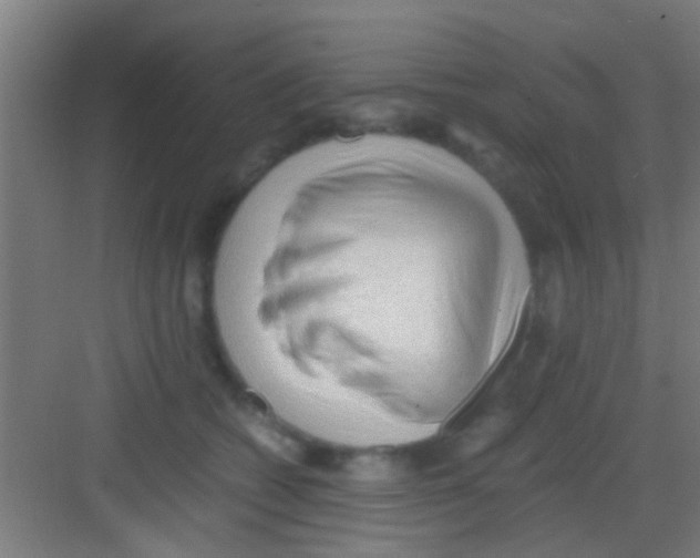 X0000081290562200702082021