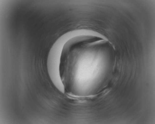 X0000081290575200702082022