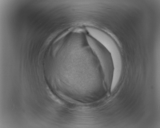 X0000081290577200702082021