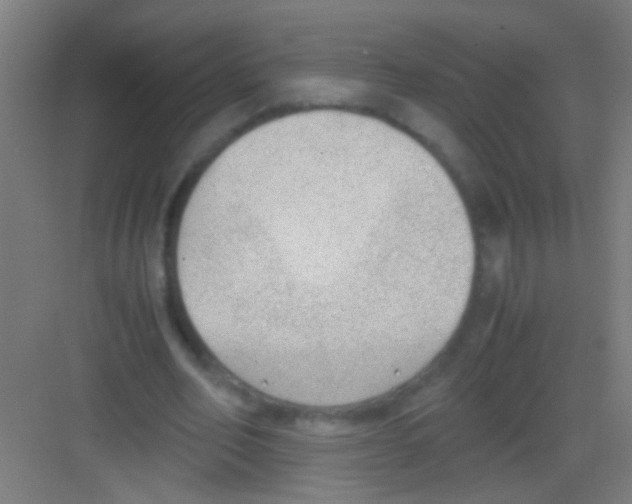 X0000081290582200702082021