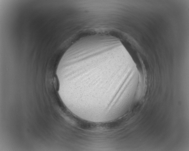 X0000081290593200702082021