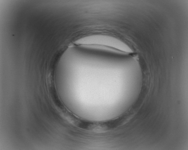 X0000081290597200702082020