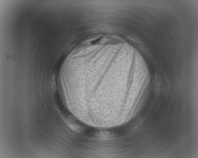 X0000081290598200702082020