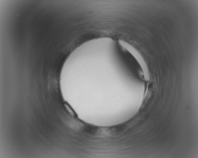X0000081290613200702082020