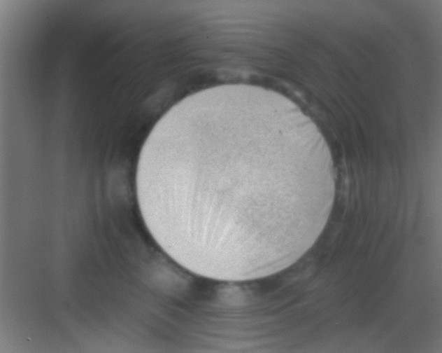 X0000081290616200702082020