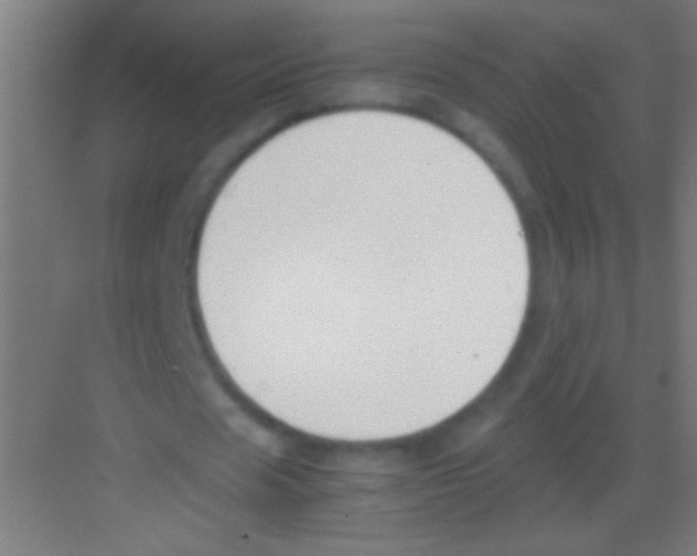 X0000081290625200702082019