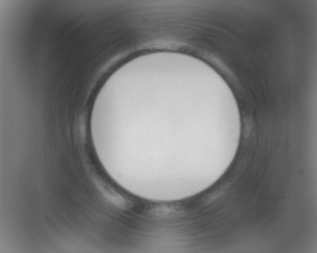 X0000081290632200702082019