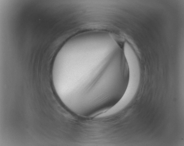 X0000081290673200702082019