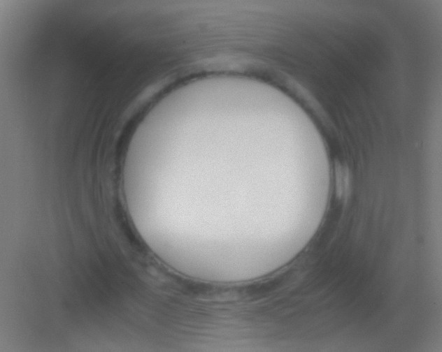 X0000081290675200702082019